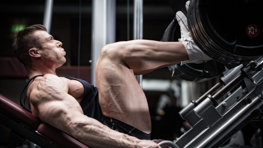 Leg Press