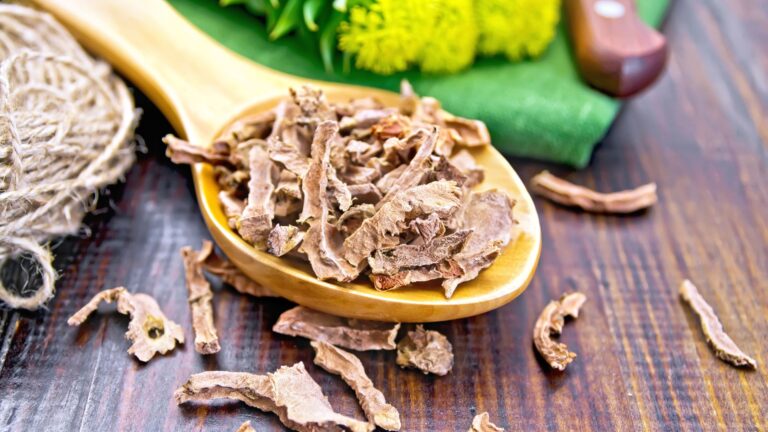Różeniec górski – Najlepszy adaptogen na ziemii